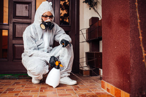 Reliable Bed Bug Control contractor in St. Louis, MO by Nex Pest Control